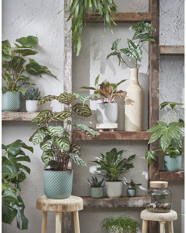 Bloempot - Binnen - Groen