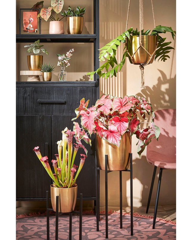 Bloempot binnen - Goud