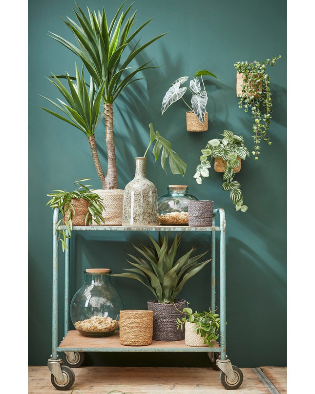 Plantenmand - Set - Crème