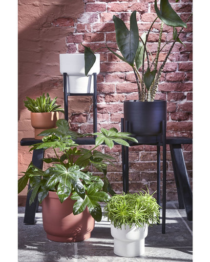 Plantenstandaard - Zwart