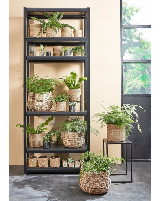 Plantenstandaard - Zwart