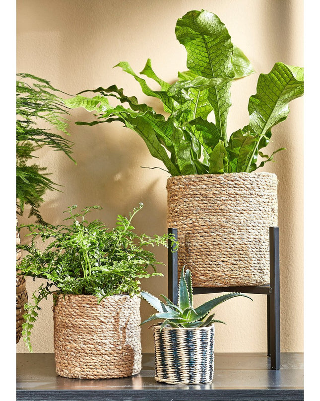 Plantenstandaard - Zwart