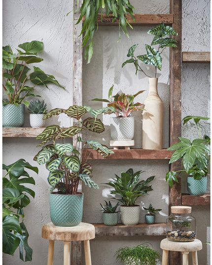 Bloempot binnen - Groen