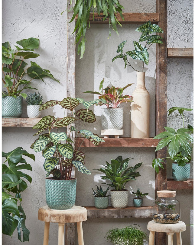 Bloempot binnen - Groen