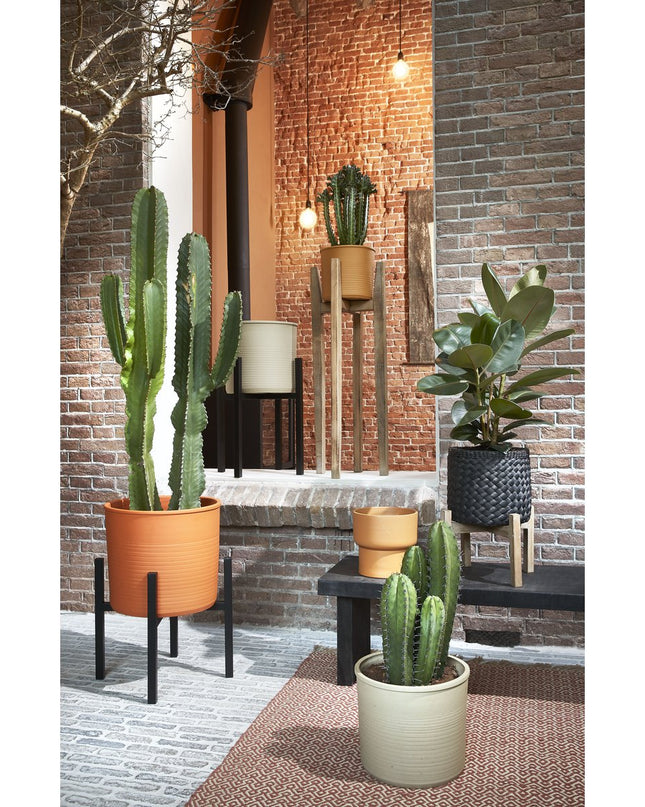 Plantenstandaard - Zwart