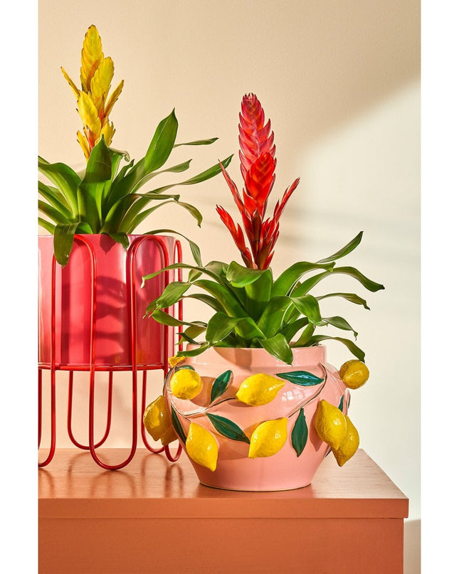 Bloempot - Binnen - Roze