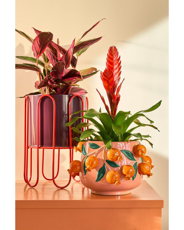 Bloempot - Binnen - Paars