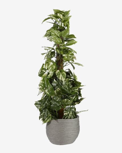 Plantenmand - Set van 3 - Grijs