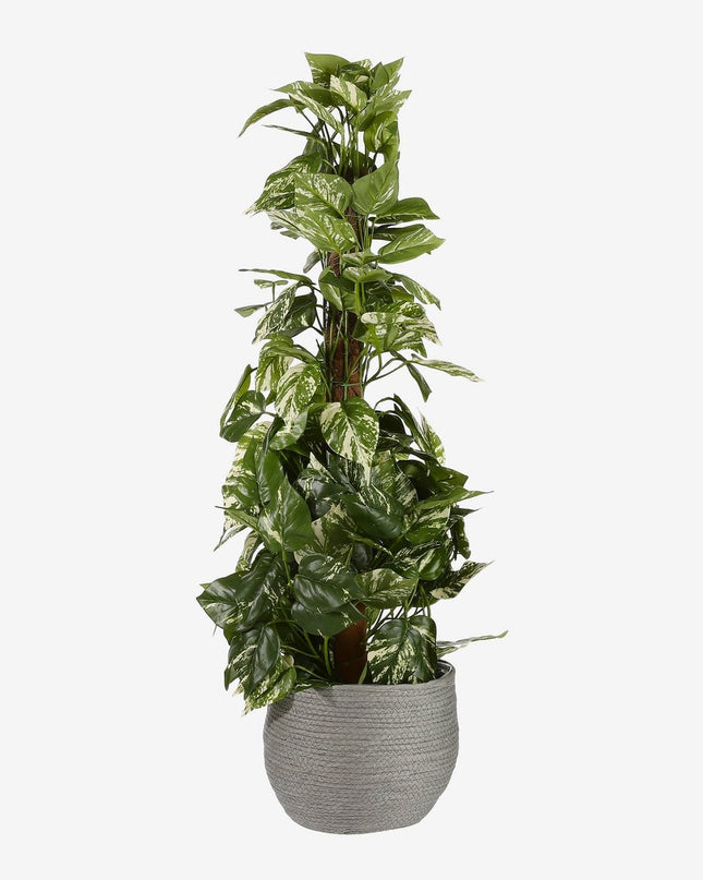 Plantenmand - Set van 3 - Grijs