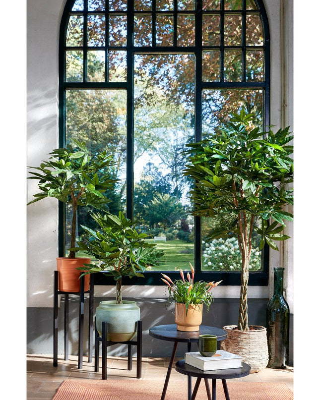 Plantenstandaard - Zwart