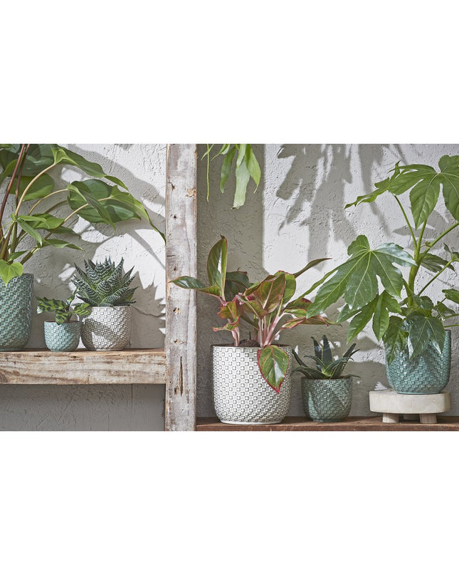 Bloempot binnen - Wit