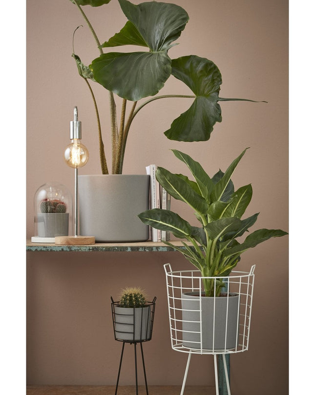 Bloempot binnen - Lichtgrijs