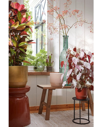 Decoratieve fles  - Transparant