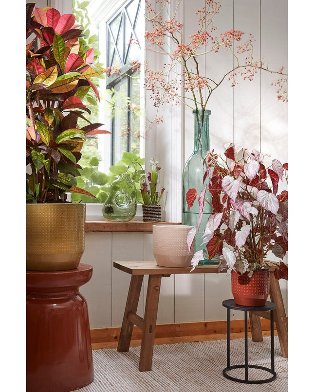 Decoratieve fles  - Transparant