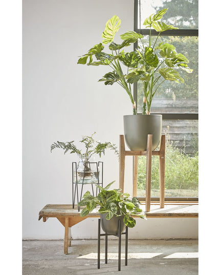 Plantenstandaard - Zwart