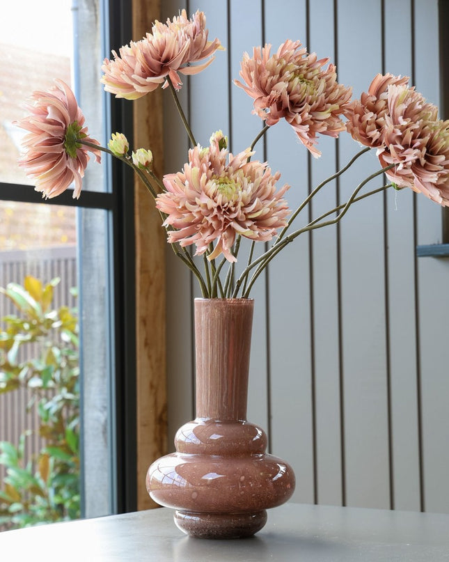 Vaas - Bolombo - Brown